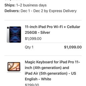 Apple iPad Pro 11-inch Wi-Fi + Cellular 256GB - Sleek Silver